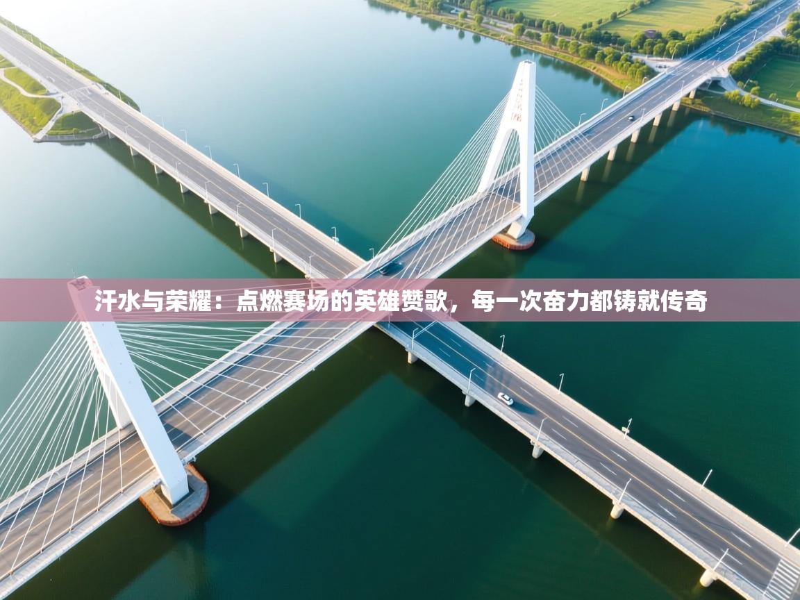 汗水与荣耀:点燃赛场的英雄赞歌,每一次奋力都铸就传奇 第1张