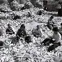 阿赫利遭受惨败，晋级梦想渐行渐远的简单介绍
