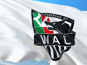 爱游戏体育入口-“腰旗橄榄球:东部新区赛场充满热血与战术” 第2张